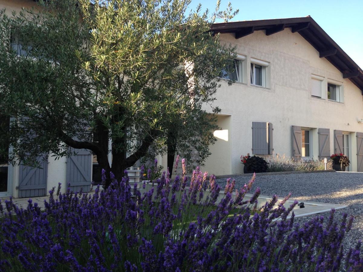 Aux Sources D'Hossegor Bed & Breakfast Soorts-Hossegor Ngoại thất bức ảnh